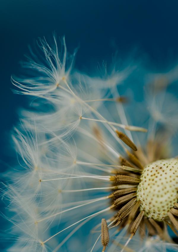 Image for ECOMMERCE category